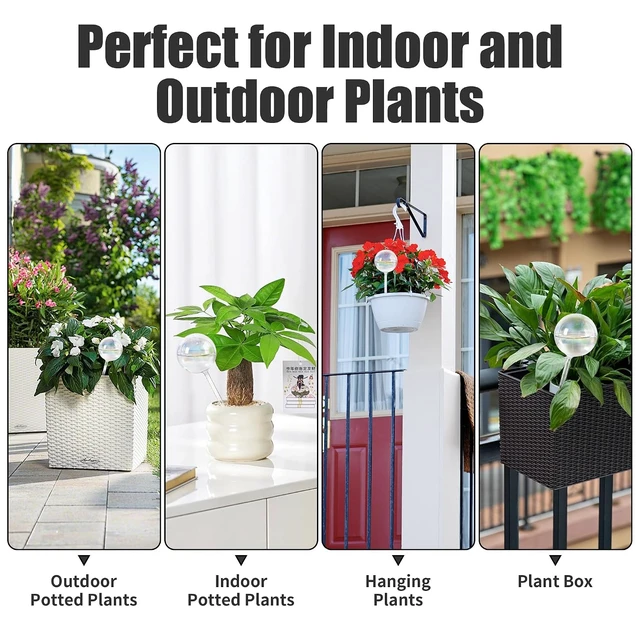 Alt view image 7 of 7 - 13oz Large Glass Self-Watering Globes Automatic Plant Waterer, Up to 2 Weeks