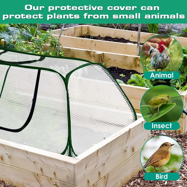 Alt view image 6 of 7 - Garden Greenhouse with Roll-Up Zipper Door, Thicker PE Cover for Vegetables & Fruits, 45" L x 22" W x 16" H, 2 Pack