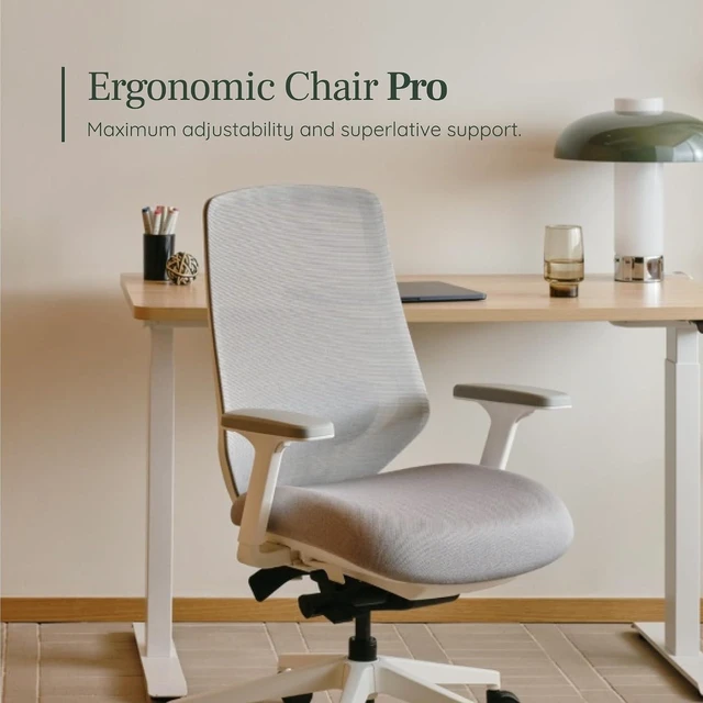 Alt view image 5 of 7 - Ergonomic Chair Pro Mesh Office Chair with 14 Points of Adjustment