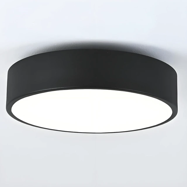 Main image of 2-Light Modern Black Flush Mount Ceiling Light 11.8 Inch