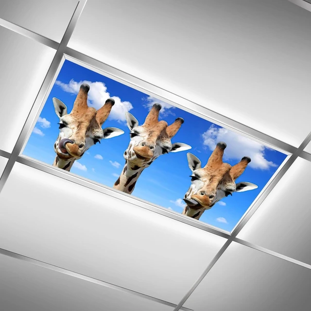 Alt view image 2 of 7 - 2 Pcs Fluorescent Light Cover for Classroom - Funny Giraffe Magnetic Fluorescent Light Covers, Ceiling Light Covers Shade Panel Coverings for Office Classroom Home Drop Ceiling, 4 X 2 Feet