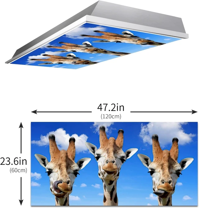 Alt view image 3 of 7 - 2 Pcs Fluorescent Light Cover for Classroom - Funny Giraffe Magnetic Fluorescent Light Covers, Ceiling Light Covers Shade Panel Coverings for Office Classroom Home Drop Ceiling, 4 X 2 Feet