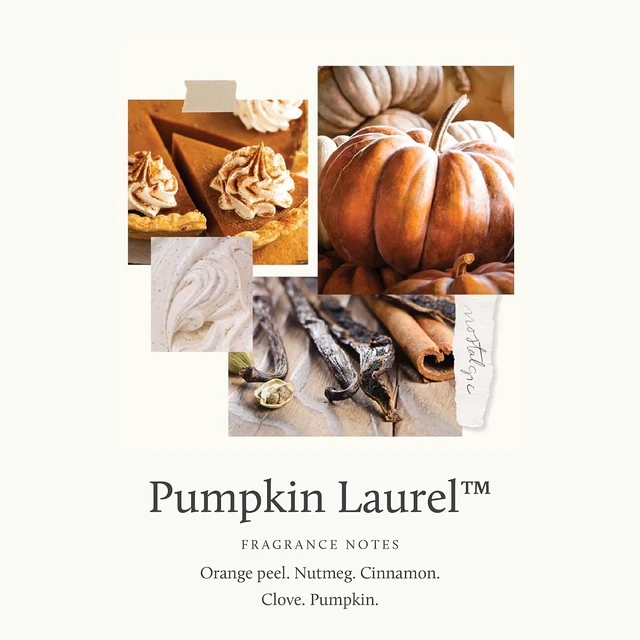Alt view image 3 of 7 - Scented Candles for Home Decor - Luxury Home Fragrance Gifts for Women & Men - Fall Candles with Creamy Pumpkin, Nutmeg, & Cinnamon - Burnt Orange (Pumpkin Laurel, 6.5 oz)