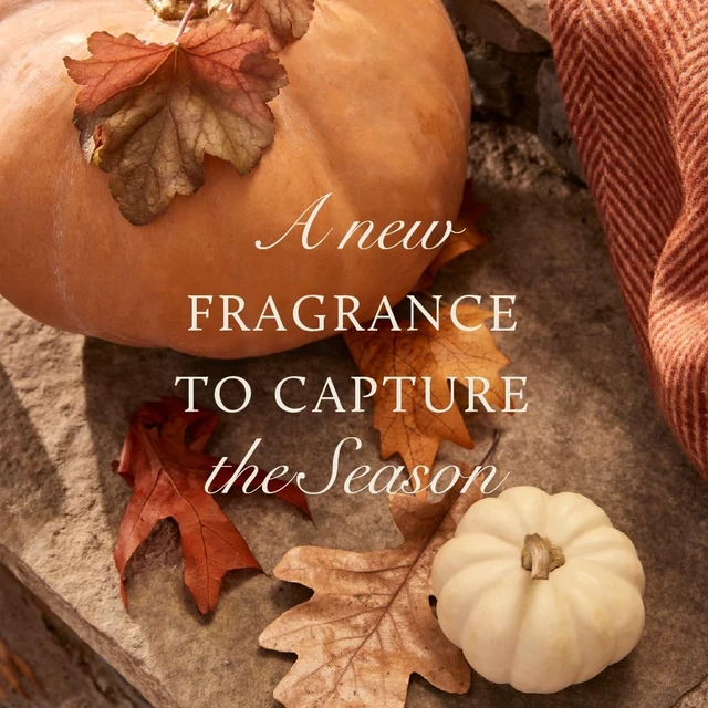 Alt view image 5 of 7 - Scented Candles for Home Decor - Luxury Home Fragrance Gifts for Women & Men - Fall Candles with Creamy Pumpkin, Nutmeg, & Cinnamon - Burnt Orange (Pumpkin Laurel, 6.5 oz)