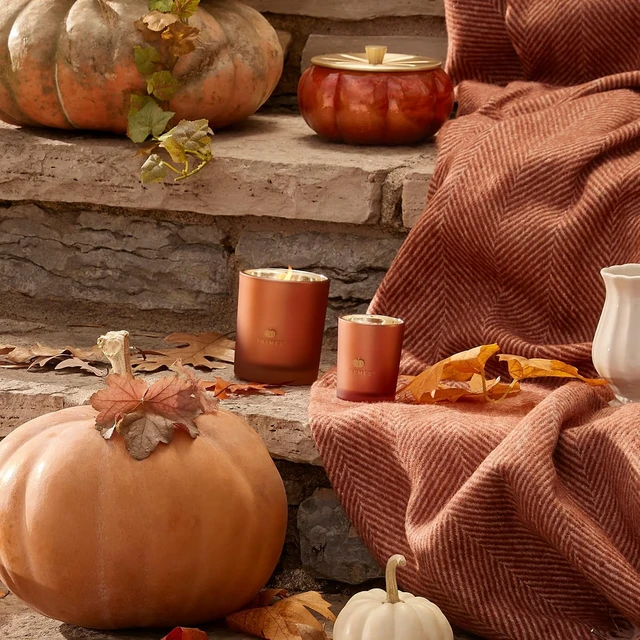 Alt view image 7 of 7 - Scented Candles for Home Decor - Luxury Home Fragrance Gifts for Women & Men - Fall Candles with Creamy Pumpkin, Nutmeg, & Cinnamon - Burnt Orange (Pumpkin Laurel, 6.5 oz)