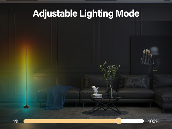adjustable light