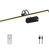 Percantis Battery Operated Picture Light for Wall, Wall Light for Living Room, 4800 mAh, 13.8'' D...