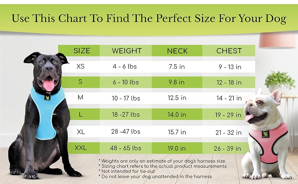 Max Comfort Classic Dog Harness
