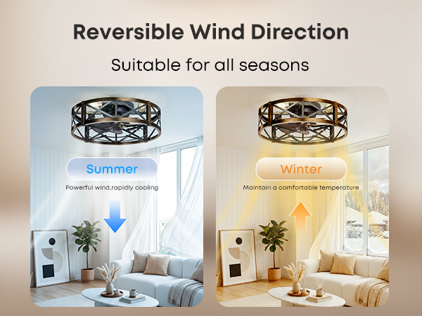 Caged Ceiling Fan with Light and Remote