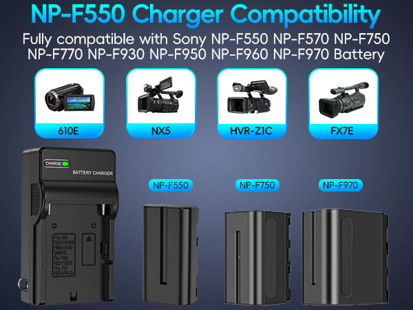 sony np-f550 battery