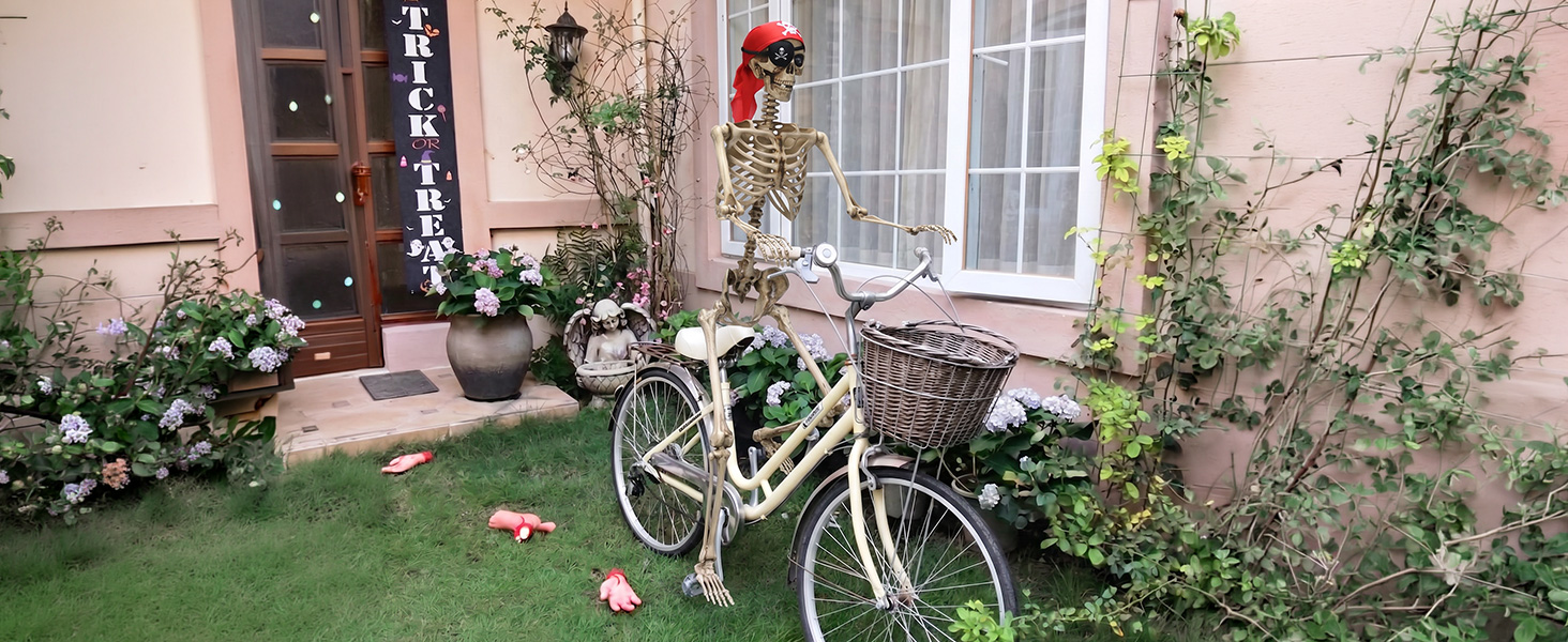 Pirate Life Size Skeleton