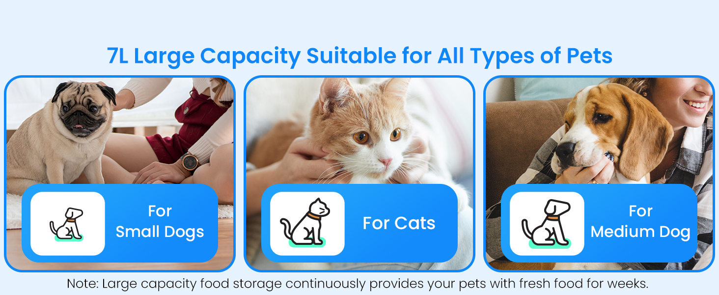 Automatic Cat Feeder