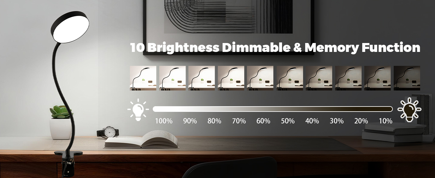 Text reads 'Brightness Dimmable &amp; Memory Function'. LED desk lamp with adjustable arm and touch control panel showing brightness settings and modes.