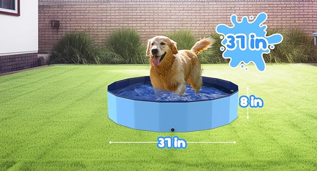 small dog pool