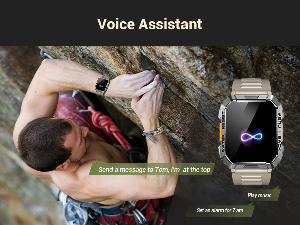 Voice Assistant