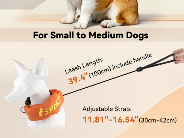 Dog Collar