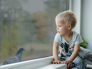 window privacy film see out not in
