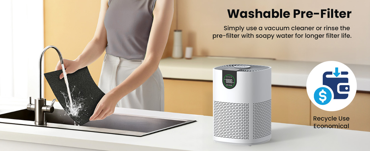 Air purifier with washable filter