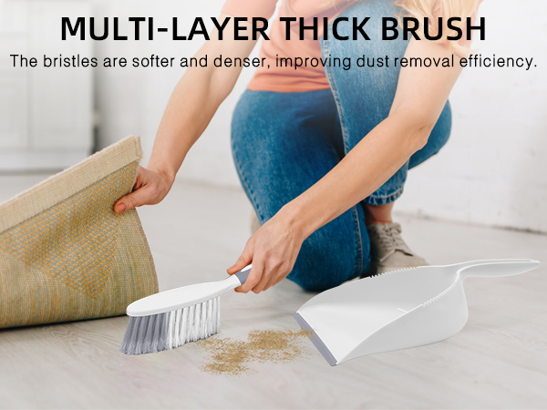 Dust Pan and Brush Set