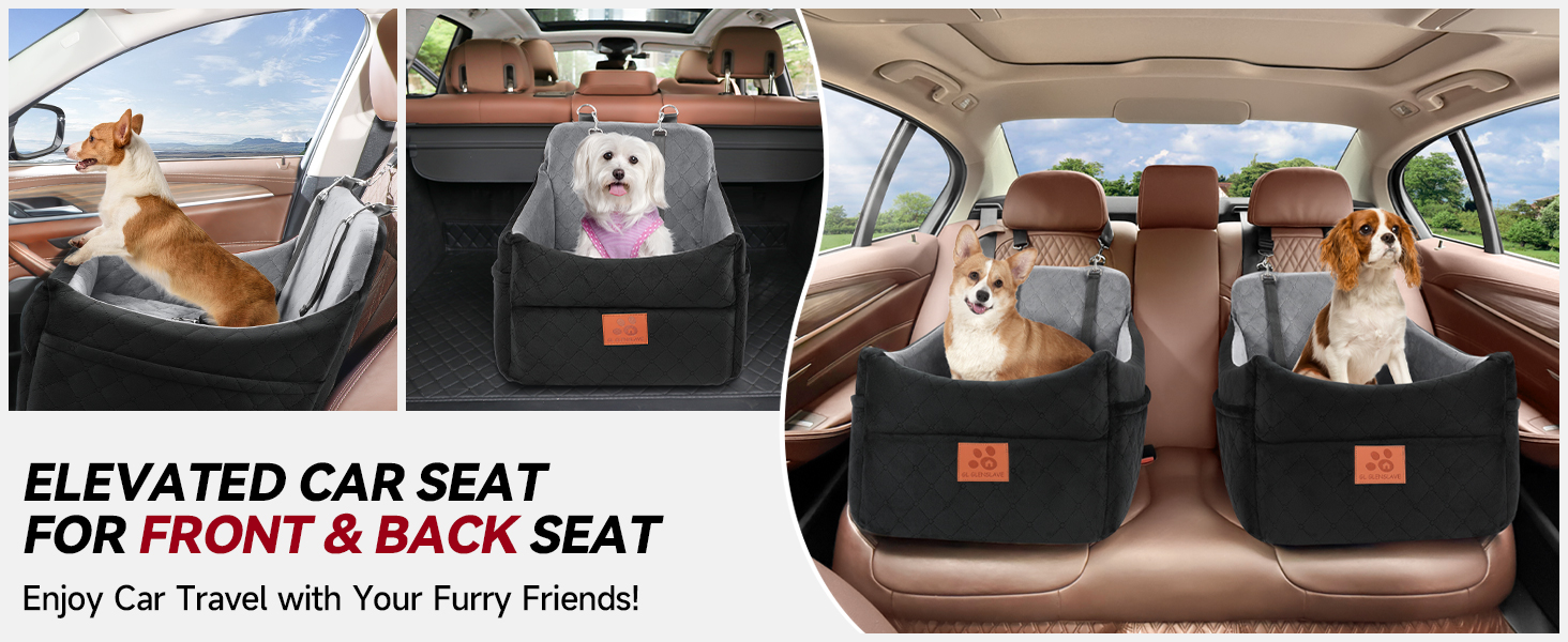 car seat for dog