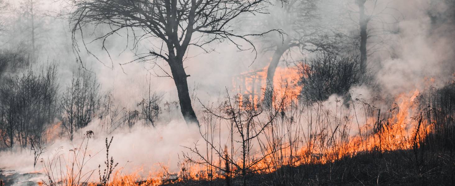 Core mini filter capture mountain fire