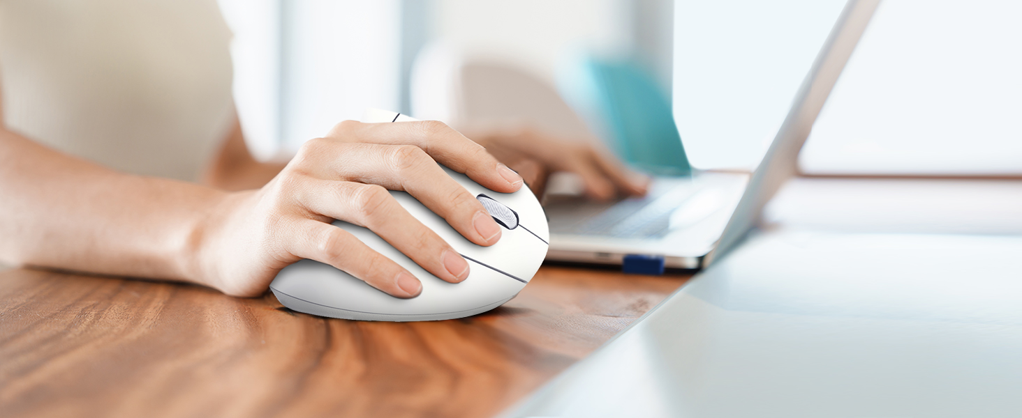 computer mouse