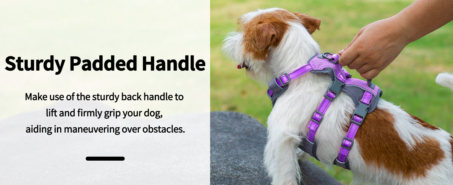dog harness with handle 