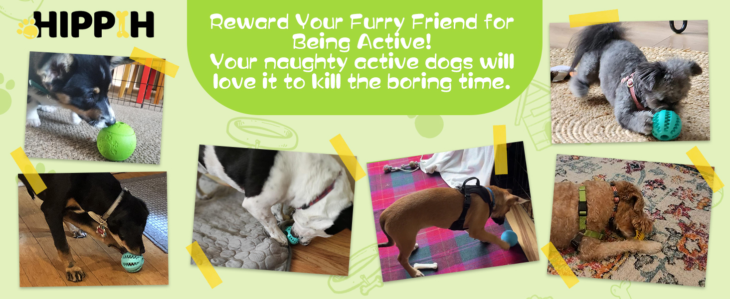 dog puzzles for smart dogs