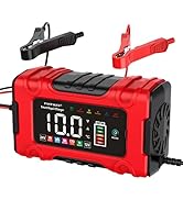 FASTAGEI LiFePO4/Lead Acid Battery Charger Smart Battery Trickle Charger 12V/24V 10A/5A Automotiv...