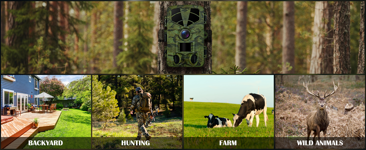 BACKYARD HUNTING FARM WILD ANIMALS