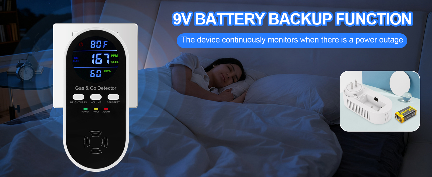 Natural gas detector and carbon monoxide detectors