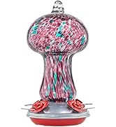 Muse Garden Gifts for Women Hummingbird Feeders for Outdoors Hanging Ant and Bee Proof, Blown Gla...