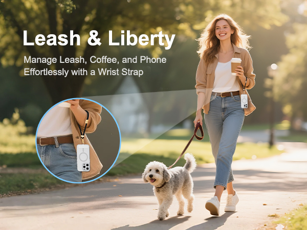 Walk the dogs