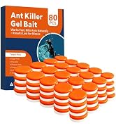 80 Pack Ant Bait Gel Stations for Common Household Ants, Indoor &amp; Outdoor Ant Traps, Effective Ca...