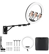 19'' Ring Light Wall Mount with Phone Holder, 45.7" Triangle Boom Arm Wall Mounted Light Stand, 3...