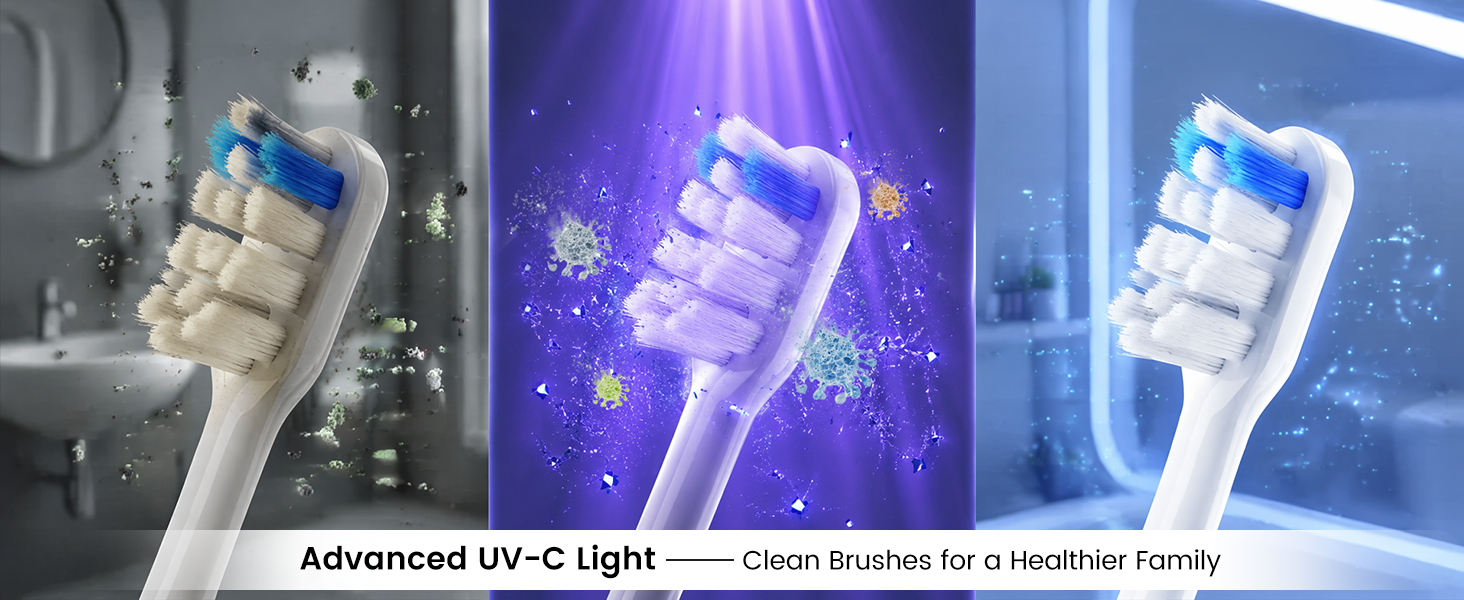 uv toothbrush sanitizer holder