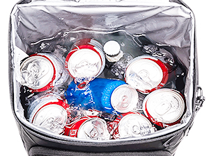 portable lunch cooler bag