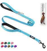 6 Foot Blue Dog Leashes for Large Medium and Small Breed Dogs That Pull,Reflective Nylon Heavy Du...