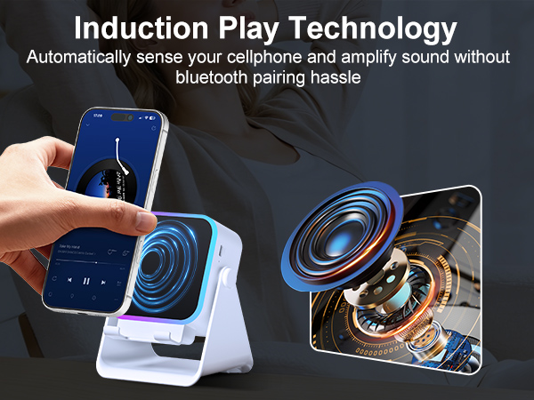 induction speaker