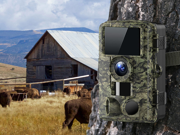 trail camera