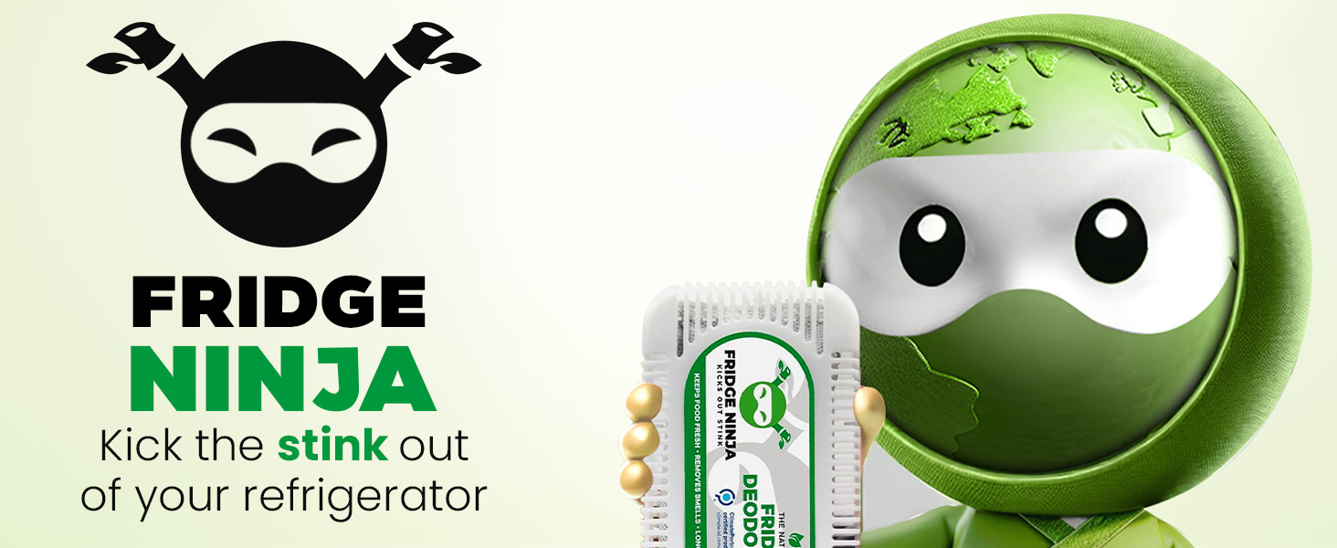Fridge Ninja Kick the Stink Out of Your Regrigerator