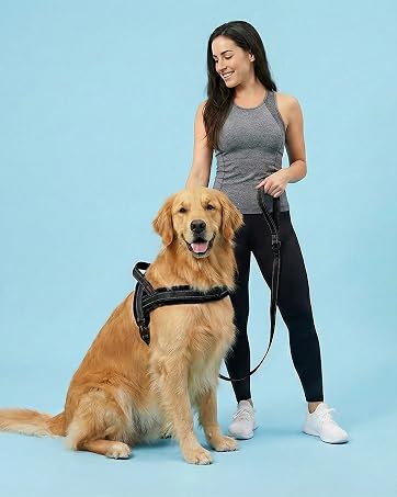 No Pull Dog Harness