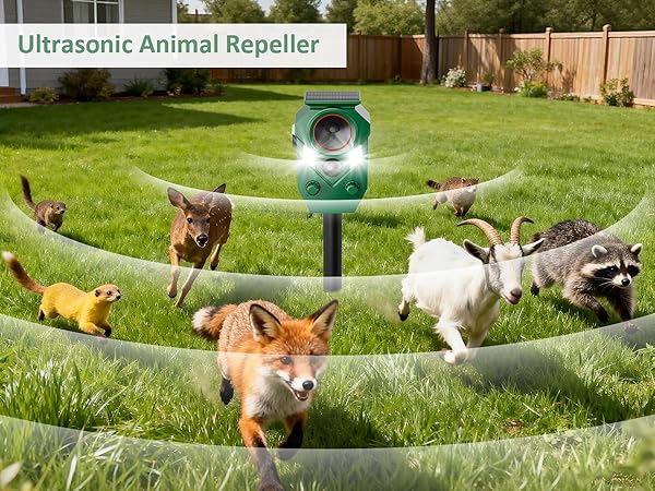 Animal Repeller