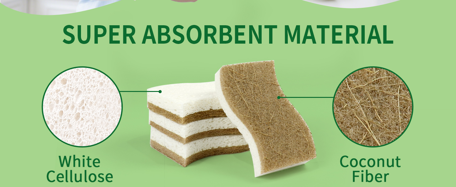 dish sponges