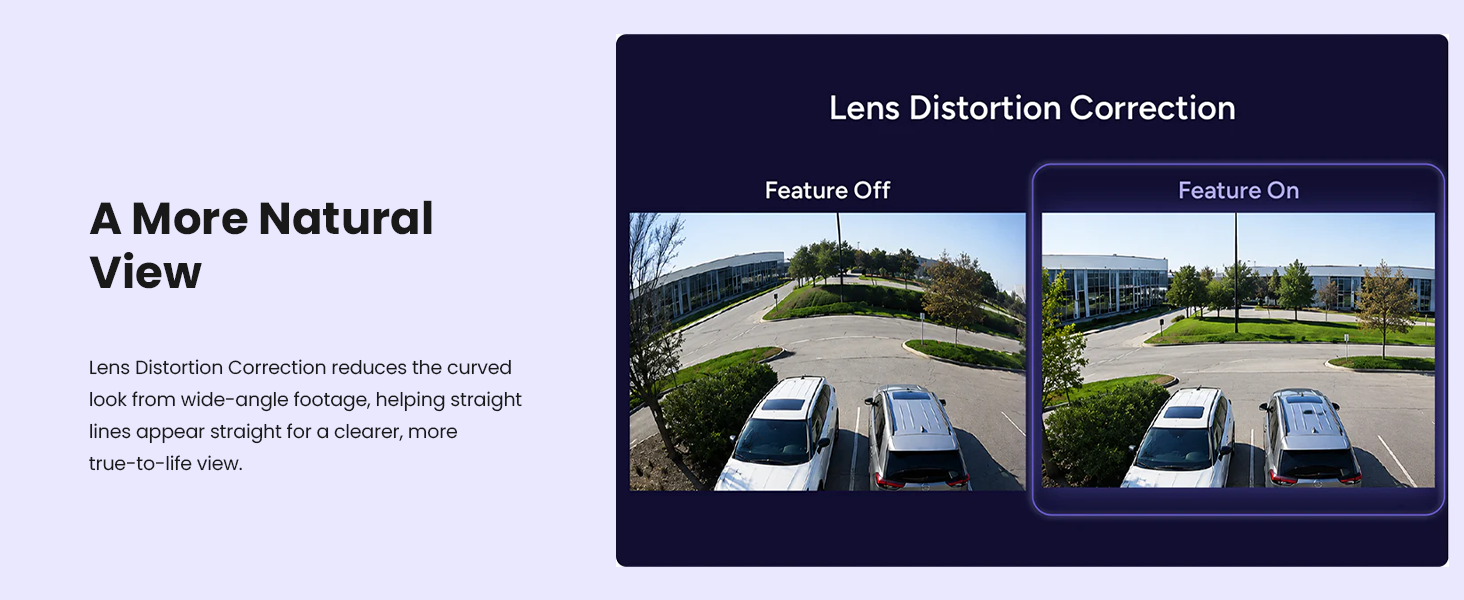 Lens Distortion Correction