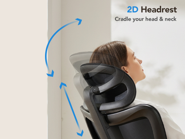 Ergonomic Office Chair