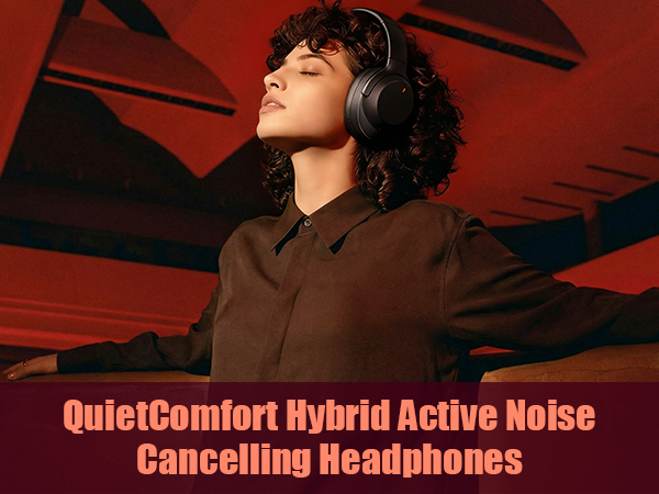 Hybrid Active Noise Cancelling Headphones