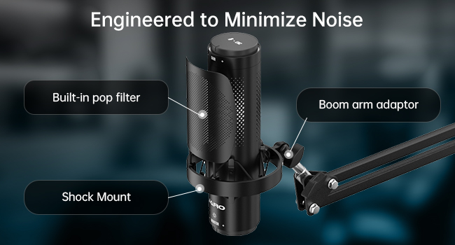 Microphone Noise Control