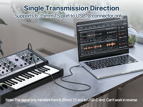 TS to usb c audio cable