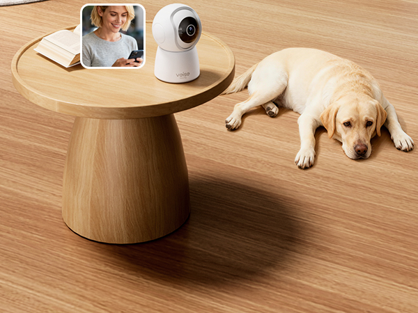 pet camera